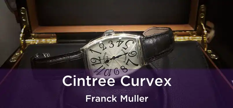  Cintree Curvex Franck Muller
