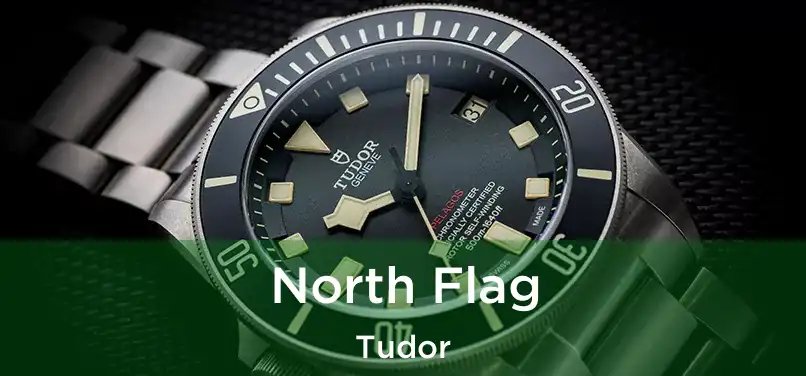  North Flag Tudor