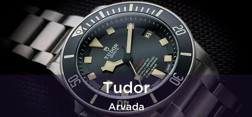  Tudor Arvada